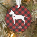 Recherche de great dane ornaments Chien