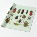 Search for beetle wrapping paper Bugs