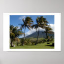 Search for plantation posters Islands