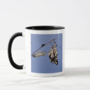 Search for metamorphosis mugs Insect