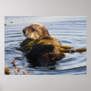 Recherche de otter art Animaux mignons