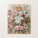 Search for ernst haeckel puzzles Kunstformen der natur