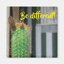 Recherche de différent magnets Nature
