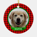 Recherche de ęr noël Animal familier