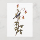 Recherche de gorges cartes postales Nature