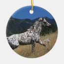 Search for appaloosa horse ornaments Bob langrish