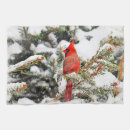 Search for cardinal bird tea towels Red