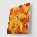 Recherche de tulipe horloges Flore