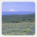 Search for mt hood stickers Usa