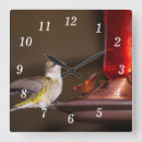 Search for tiny clocks Photography