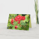 Recherche de toxique vœux cartes Floral