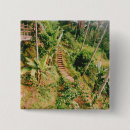 Search for rainforest buttons Tropical