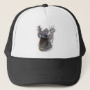 Recherche de koala mignon casquettes Ours