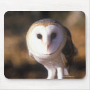 Search for natural world mousepads Wildlife