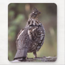 Search for environmentalist mousepads Animal lover