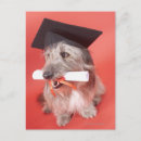 Search for mortarboard postcards Education