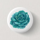 Search for succulent buttons Cacti