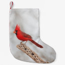 Recherche de cardinal rouge chaussette de noël Nature