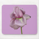 Search for rosebuds electronics Purple