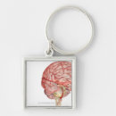 Search for human brain keychains Body