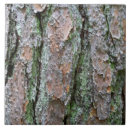 Recherche de pins carreaux Nature