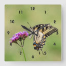 Search for swallowtail art Animal