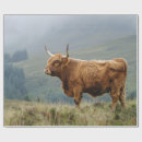 Search for bull wrapping paper Decoupage