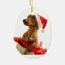 Search for weiner dog ornaments Dogs