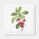 Recherche de cerises rouges magnets Fruit