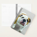 Search for english bulldog office supplies Puppy