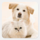 Search for two dogs stickers Cute