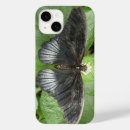 Recherche de joli papillon iphone coques Beau