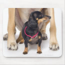 Search for security mousepads Humour
