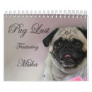 Search for pug calendars Animal