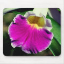 Recherche de orchids tapis souris Nature