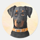 Search for black doberman stickers Dobermann