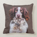 Search for english springer spaniel pillows Canine