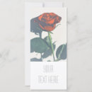 Search for bright red flower cards Rose