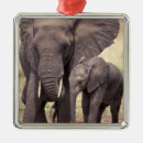Search for tanzania ornaments African elephant