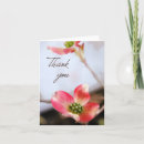 Recherche de cornouiller rose Nature