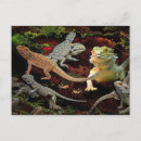Search for bearded postcards Lizards