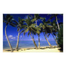 Search for secluded posters Paradise