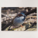 Search for sparrow puzzles Wildlife