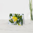 Search for spring time cards Flowers