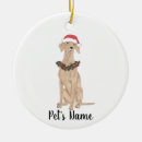 Search for vizsla ornaments Santa