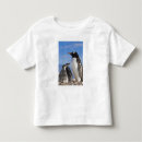 Search for 2 penguins tshirts Wildlife