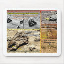 Search for humane electronics Animals