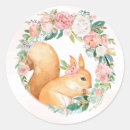 Search for squirrel stickers Woodland animals