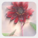 Search for hybrid stickers America