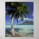 Recherche de polynesie art Plage